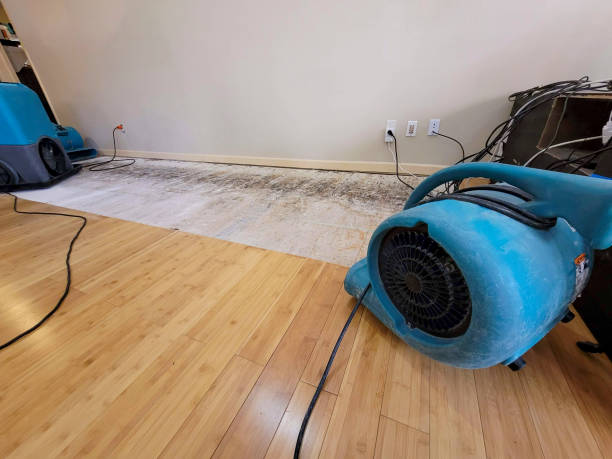 Professional Structural Drying technician working in Litchfield, MN